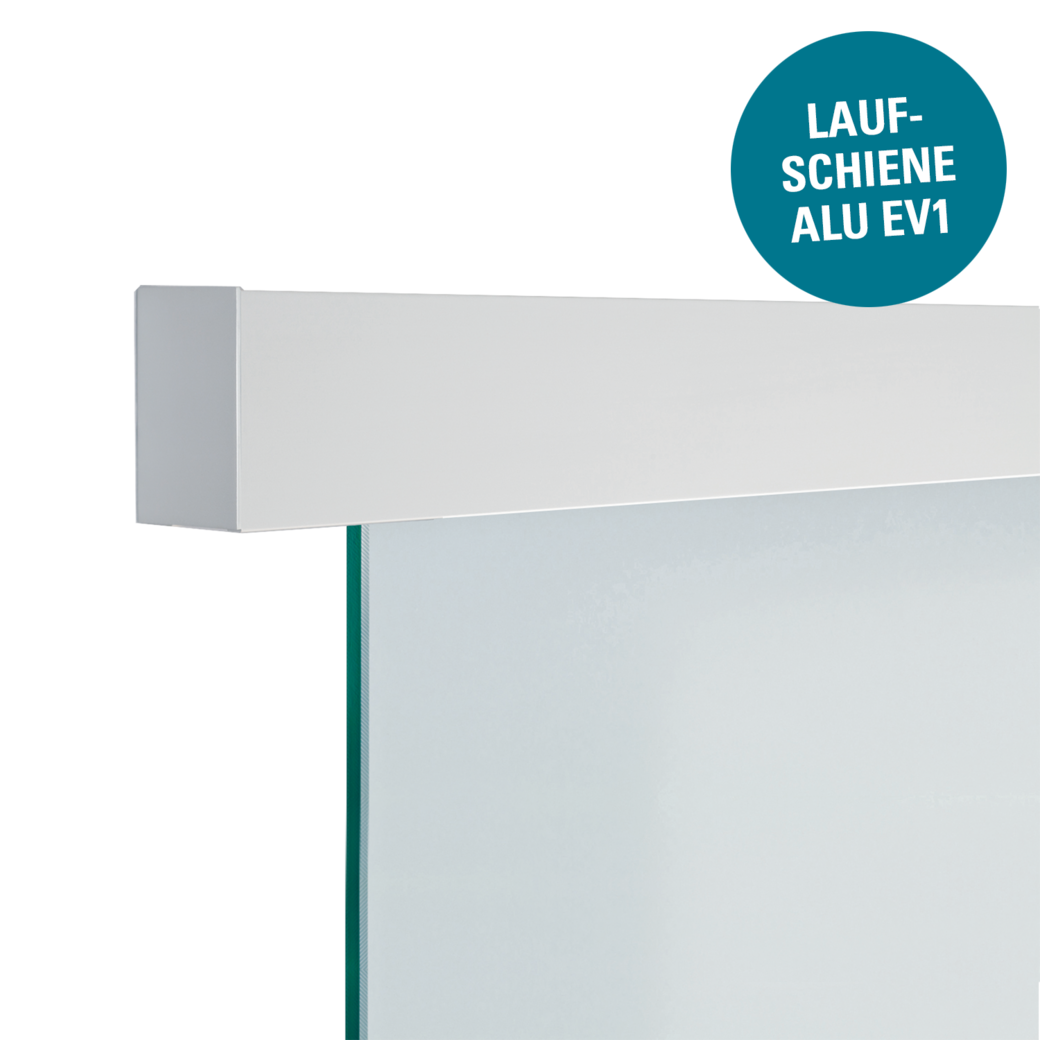 Schiebetürsystem NOVA 411 mit Softeinzug Wandmontage/Glastür 1,9m 1-flg. Alu EV1 CIRCLE