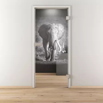 Glasdrehtür NOVA 613, Blickdichte klar, Bohrungsart Studio/Office